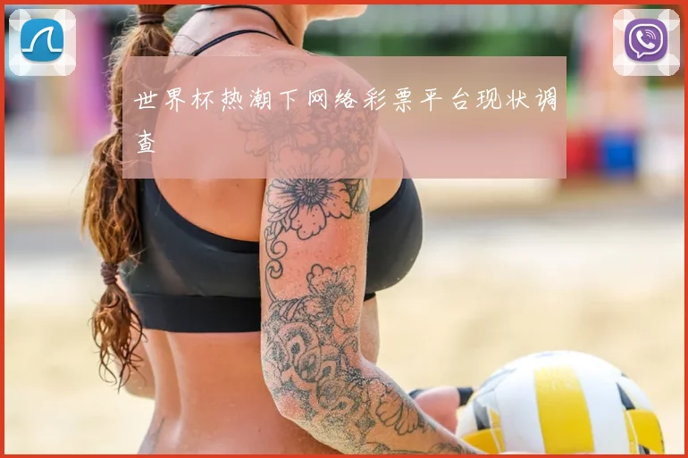 世界杯热潮下网络彩票平台现状调查