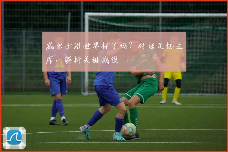 威尔士进世界杯了吗？对话足协主席，解析关键战役