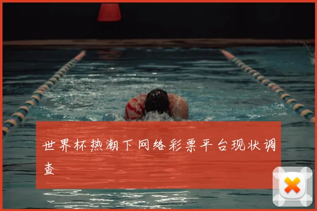 世界杯热潮下网络彩票平台现状调查