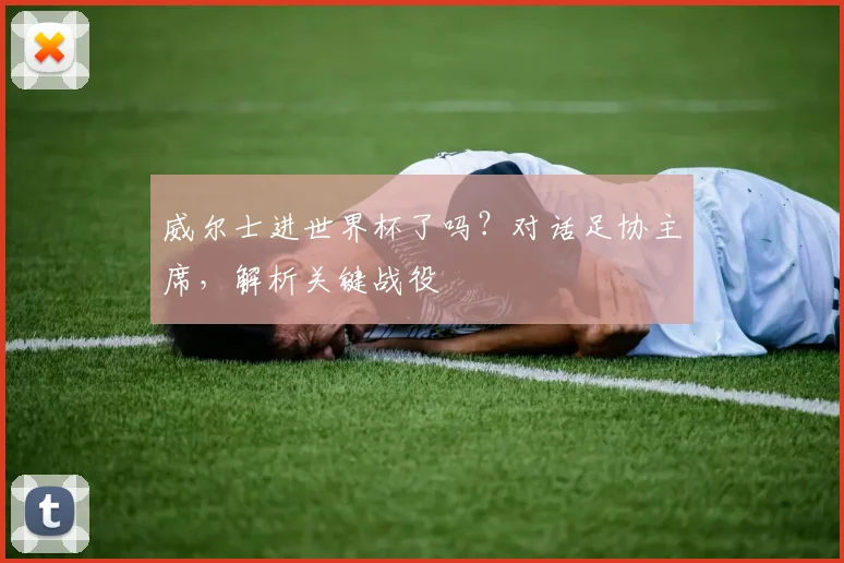 威尔士进世界杯了吗？对话足协主席，解析关键战役