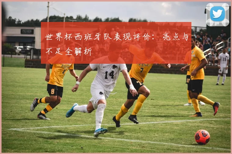 世界杯西班牙队表现评价：亮点与不足全解析